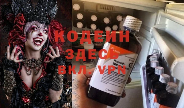 крисы Баксан