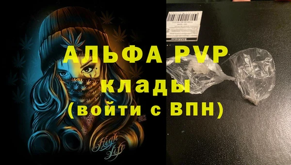 крисы Баксан