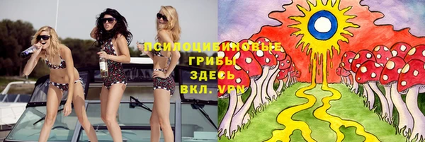 крисы Баксан