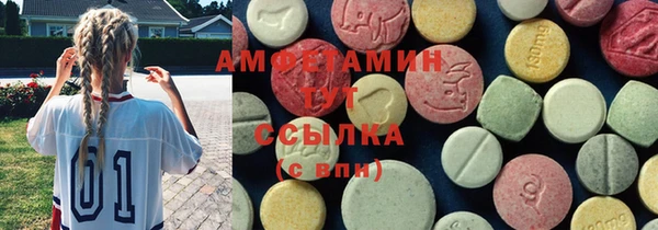 крисы Баксан