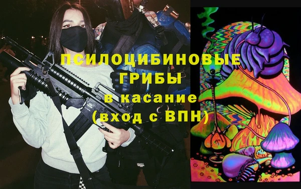 гидропоника Балабаново