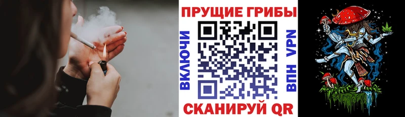 площадка какой сайт  Чудово  Псилоцибиновые грибы Psilocybe  купить наркотик 